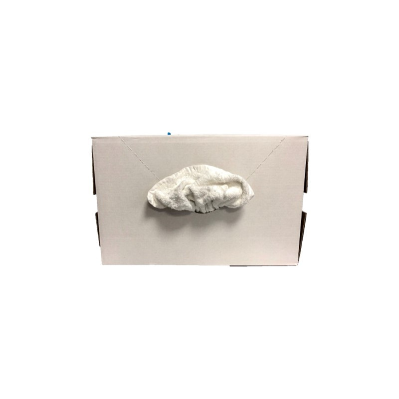 SERVIETTE EPONGE BLC/10 KGS