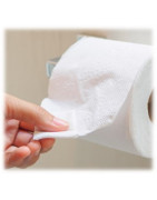 Papiers Toilette logo